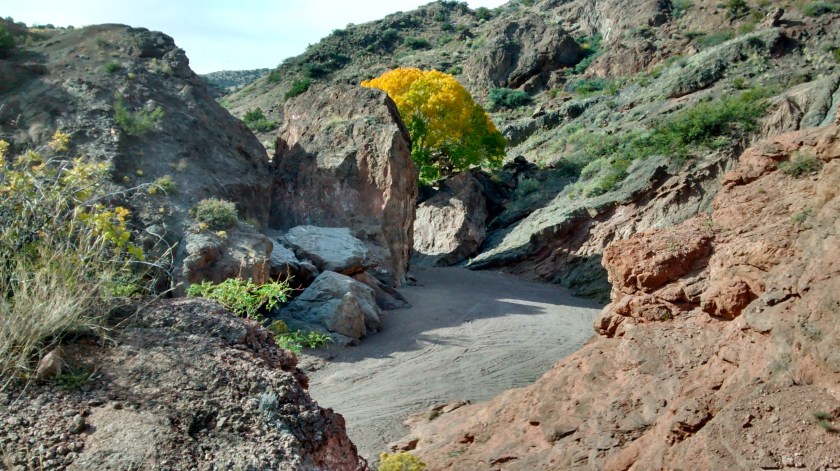 End of dirt road into San Lorenzo Canyon.  Hike starts just around the corner.