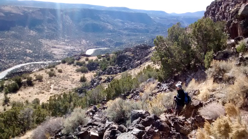 IMG_20141105_103615386