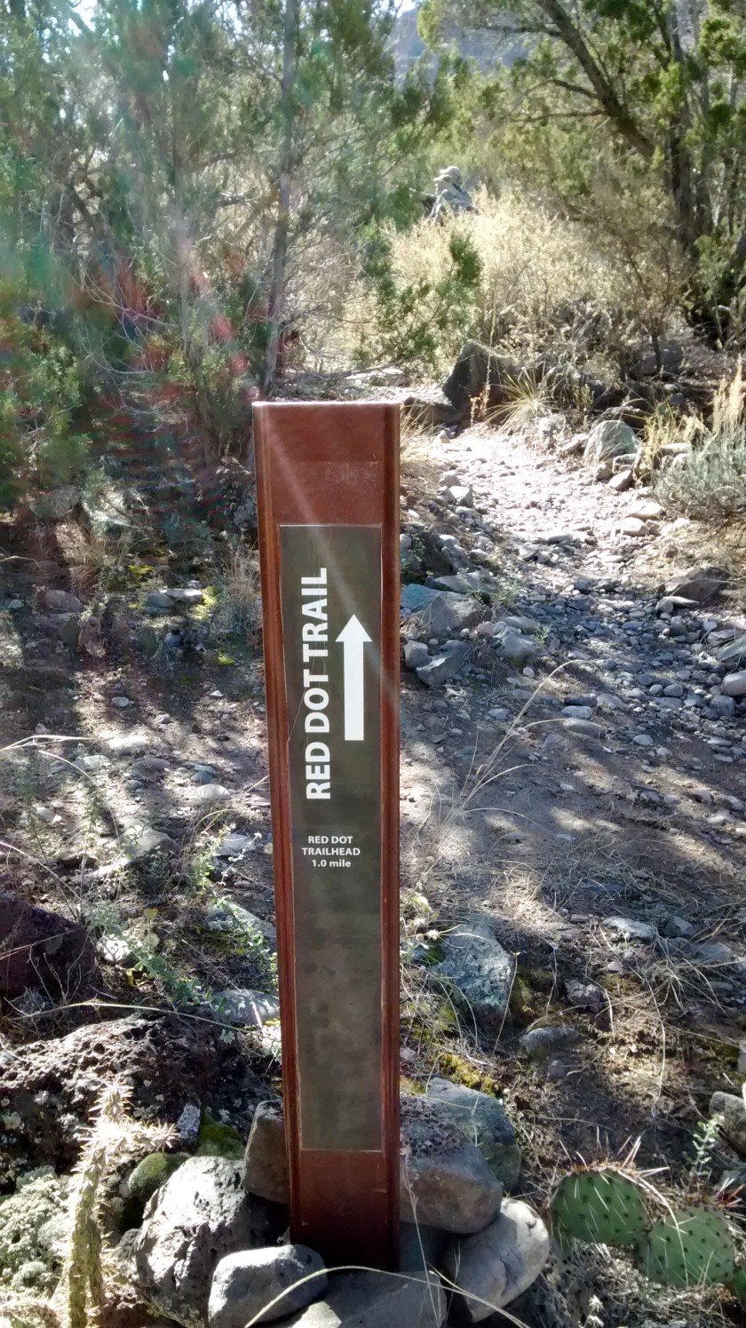 IMG_20141105_124638923