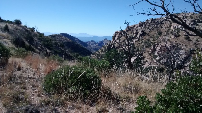 Looking west from halfway up Bug Spring Trail.