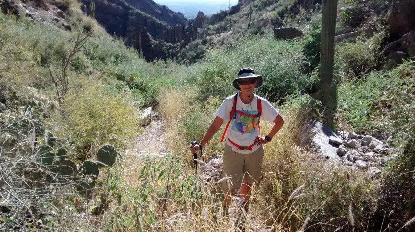 Warm enough to wear shorts the end of November!