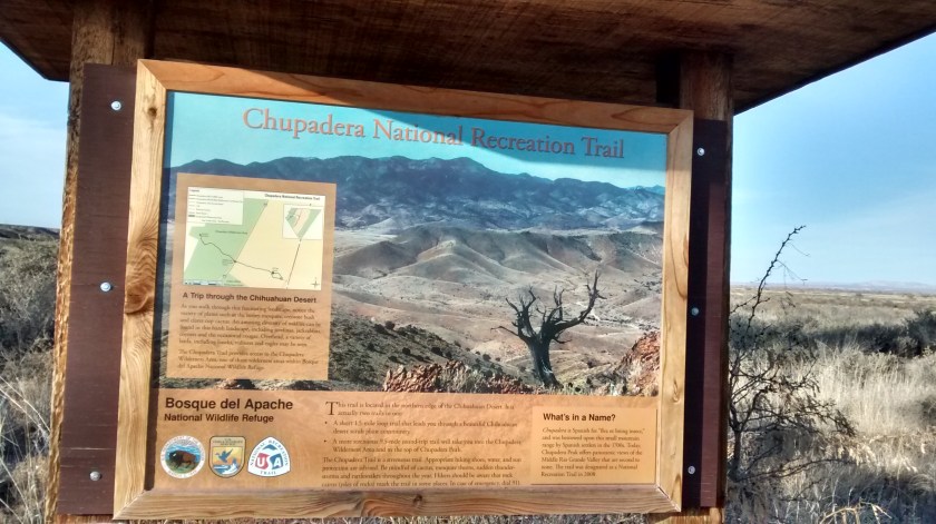 IMG_20141211_154247952_HDR