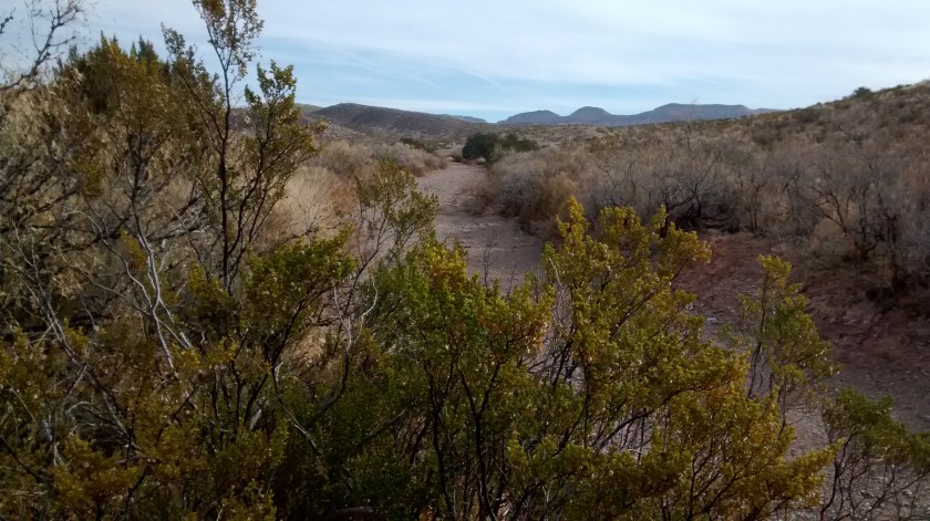 Not a manmade trail, but natural forces of erosion provide many paths like this wash that we could follow to explore the Quebradas backcountry.