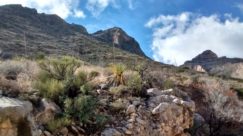 Nice to see the return of blue skies.