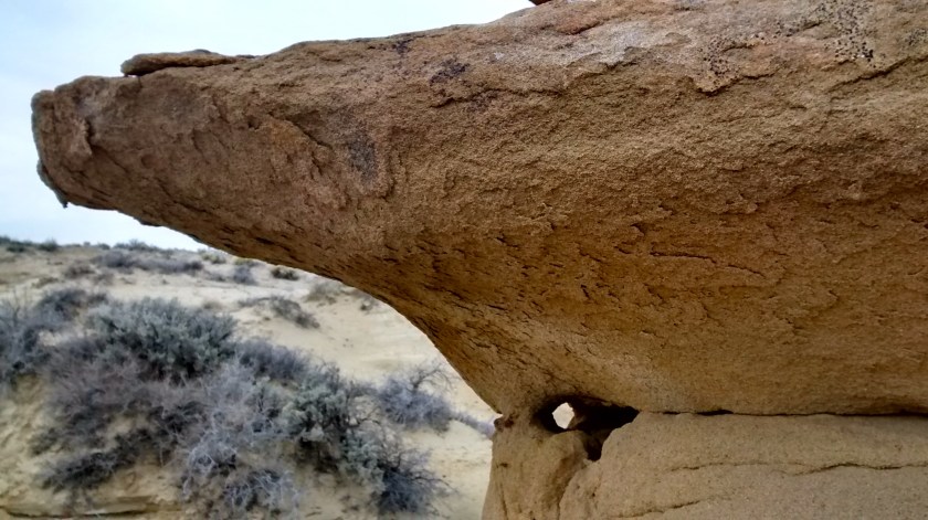 IMG_20150216_114604264_HDR