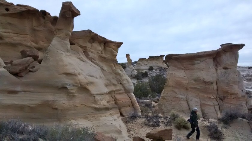 IMG_20150216_120316293