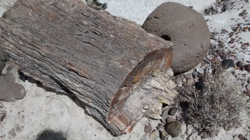 IMG_20150216_135219329