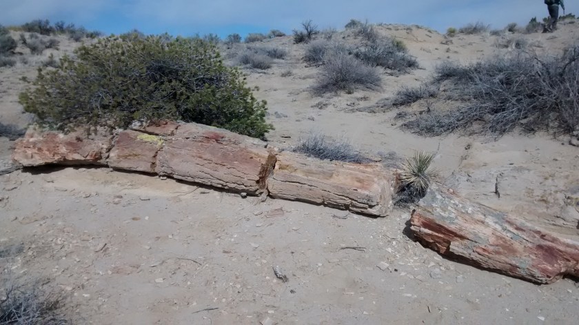 IMG_20150216_141205166