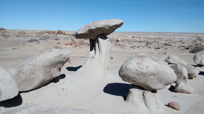 IMG_20150217_103846208