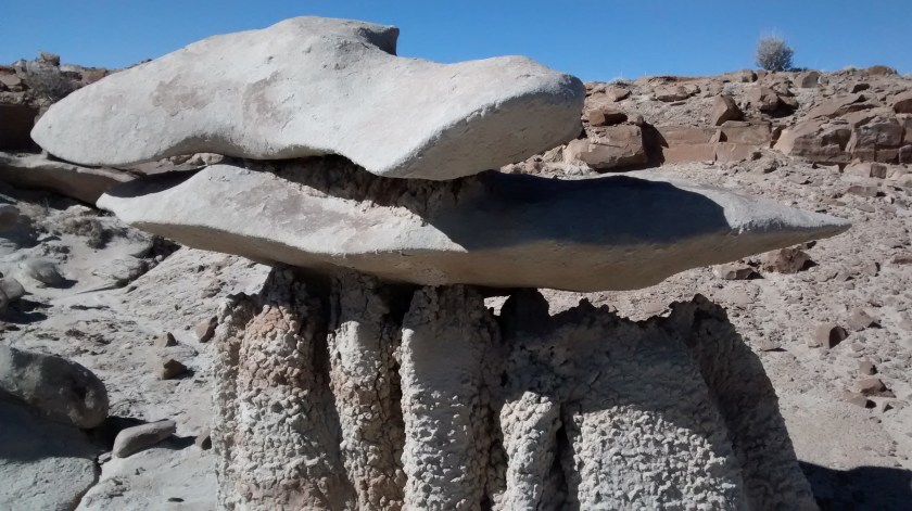 IMG_20150217_104425347