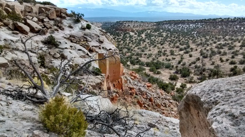 IMG_20150309_124111328_HDR