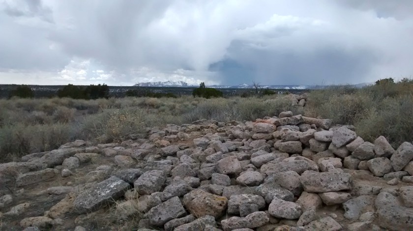 IMG_20150309_133306701