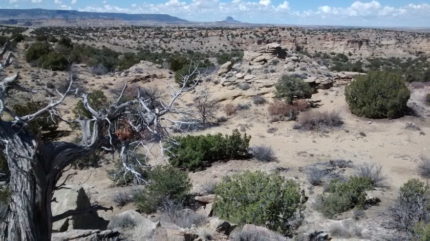 Cabezon Peak is the volcanic plug in the distance.  Saving that hike for when Ruth visits us.