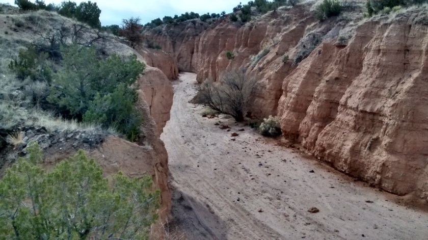 The dry wash that is the first half-mile of the "trail."