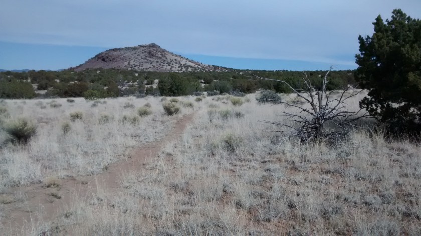 On top of Buckman Mesa, heading towards Otowi Peak.