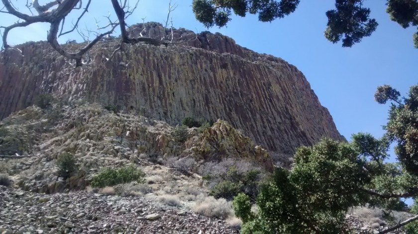 View from the backside.