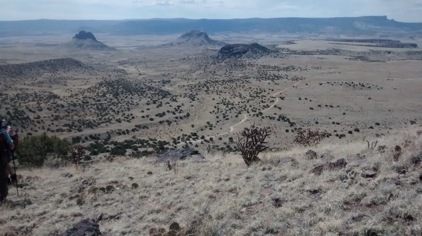 Notice the thin line below--the road we drove in on.