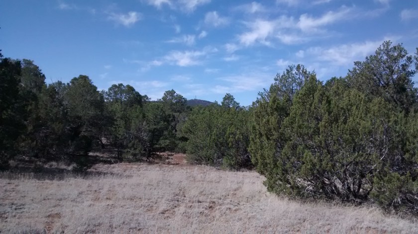 Cedro Peak in the far distance.