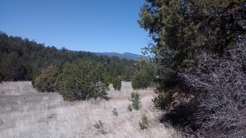 Looking north towards the South Crest of the Sandias.