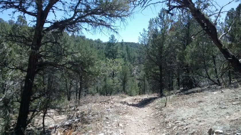 IMG_20150406_132513388