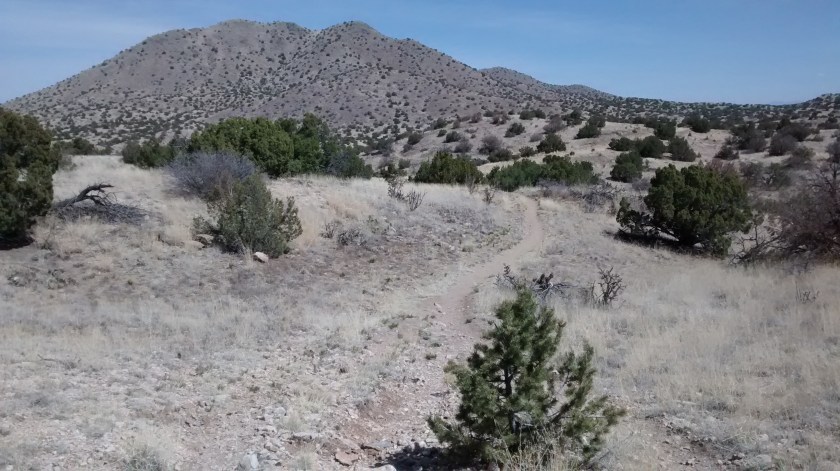 Grand Central Mountain up ahead.