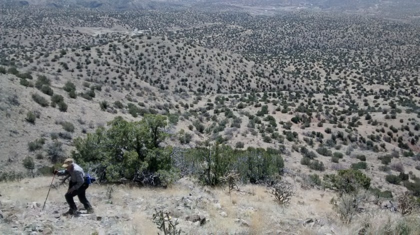 IMG_20150410_125113732