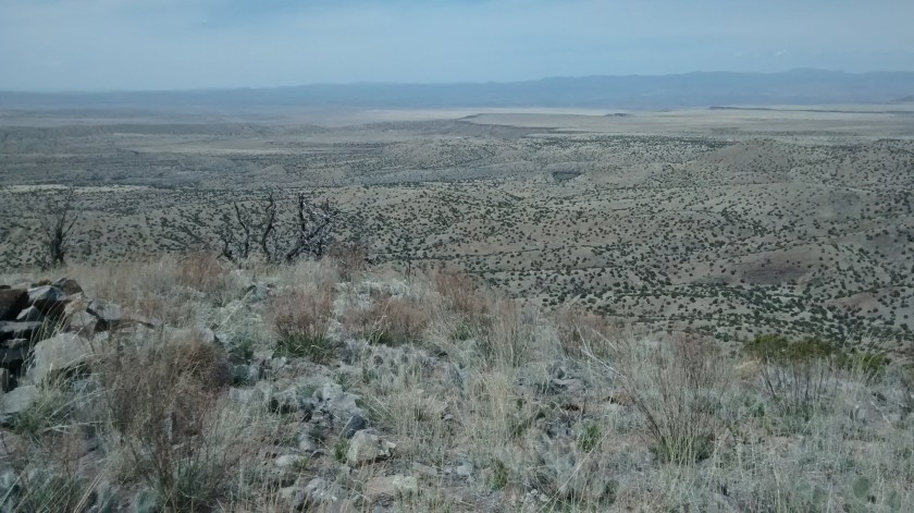 La Bajada Mesa in the distance.