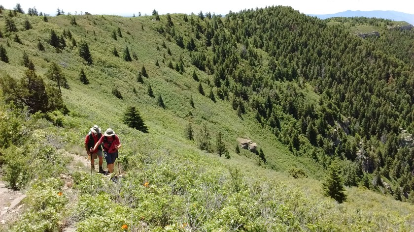 We were pleasantly surprised by all the greenery on the crest.