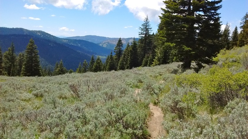 IMG_20150605_124758657