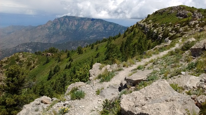 IMG_20150613_115748040