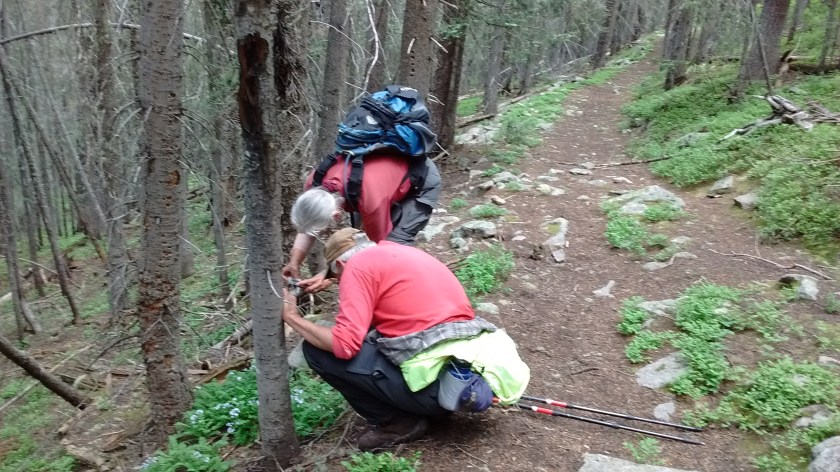 Lee and Sue hard at work trying to get that perfect flower photo.