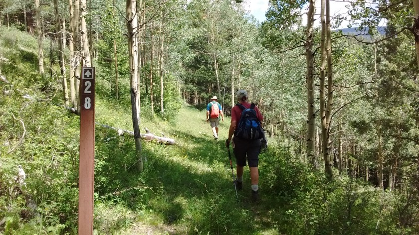 Trail numbers were confusing but it was a welcome sight to see one when so many times we weren't sure we were on a trail.