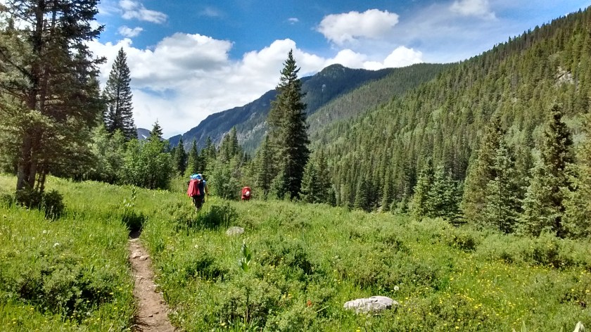 Walking through meadows on West Fork trail.