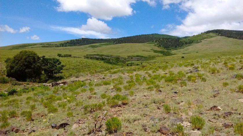 Not as green as Colorado but nice to see some blue sky.