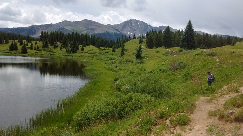 Looking south from shore of Little Molas Lake towards West Needle Mountains.