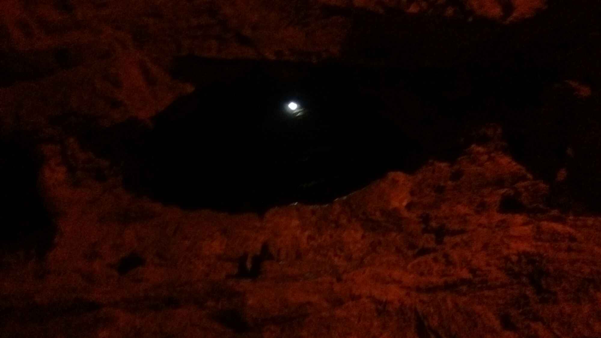 wp-1437771546366 image