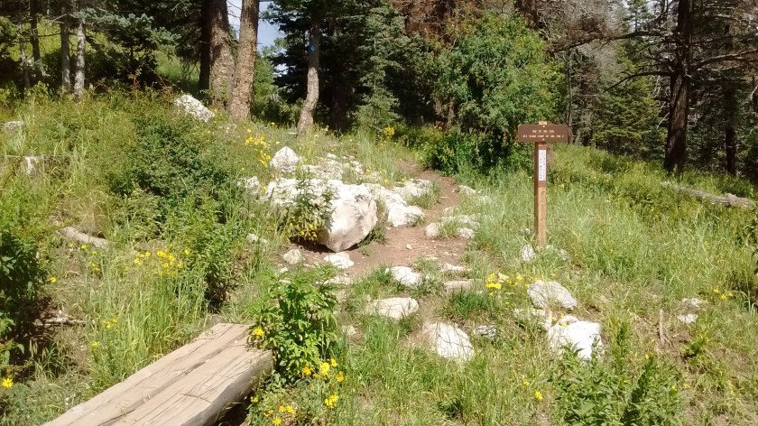 Start of the 10K Trail.