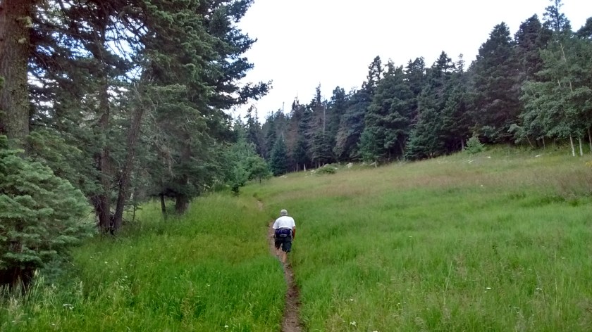 Starting loop onto Ellis Trail.