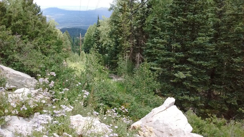We took a shortcut from the Ellis Trail back to the 10K by walking along the power line.