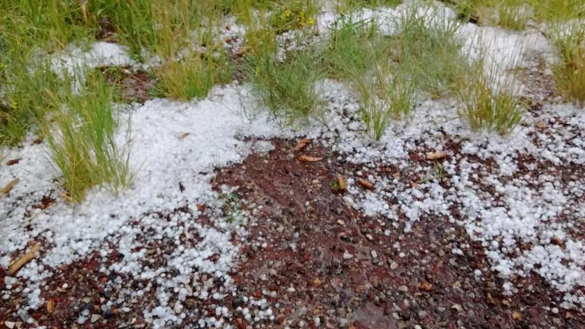 Hail by the side of the road.