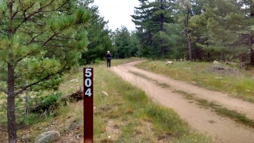 The road/trail that we hiked to get to the top of Mt. Sedgwick.