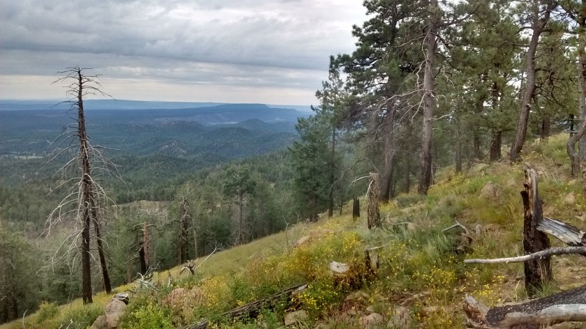 View south from Mt. Sedgwick. Chute Mesa in the distance is a possibility for another hike in the Zunis.
