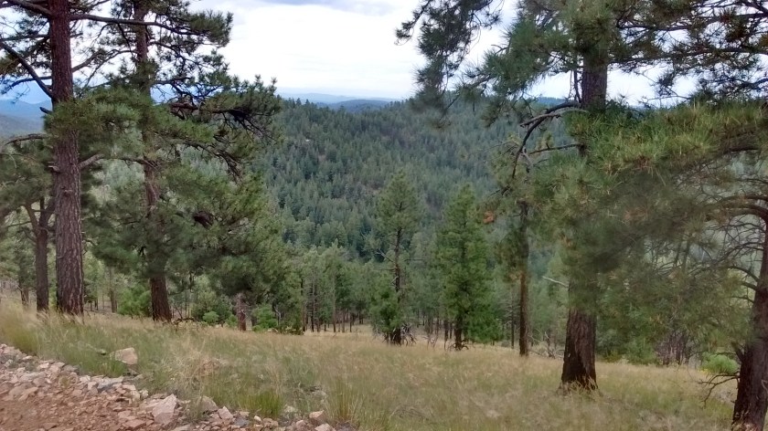 Looking west from Mt. Sedgwick.