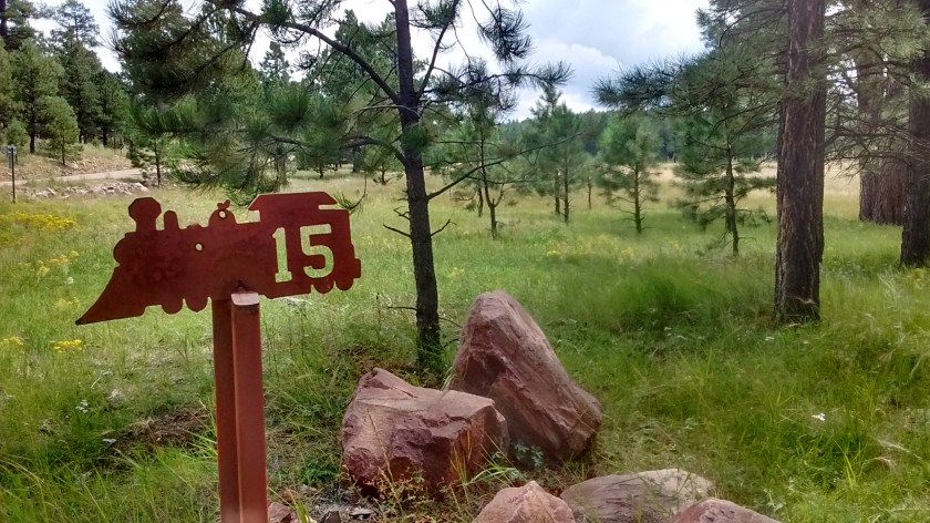 Stop #15 on the Zuni Mountain Historic Auto Tour. Marks the location of Post Office Flat.