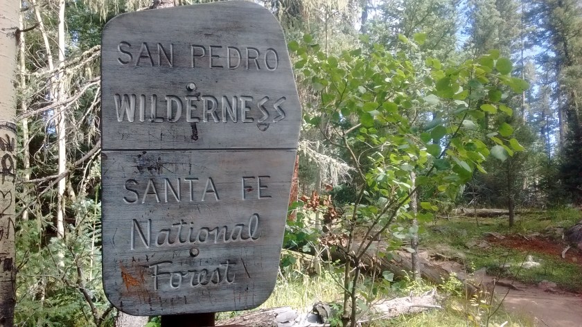 IMG_20150831_104809098