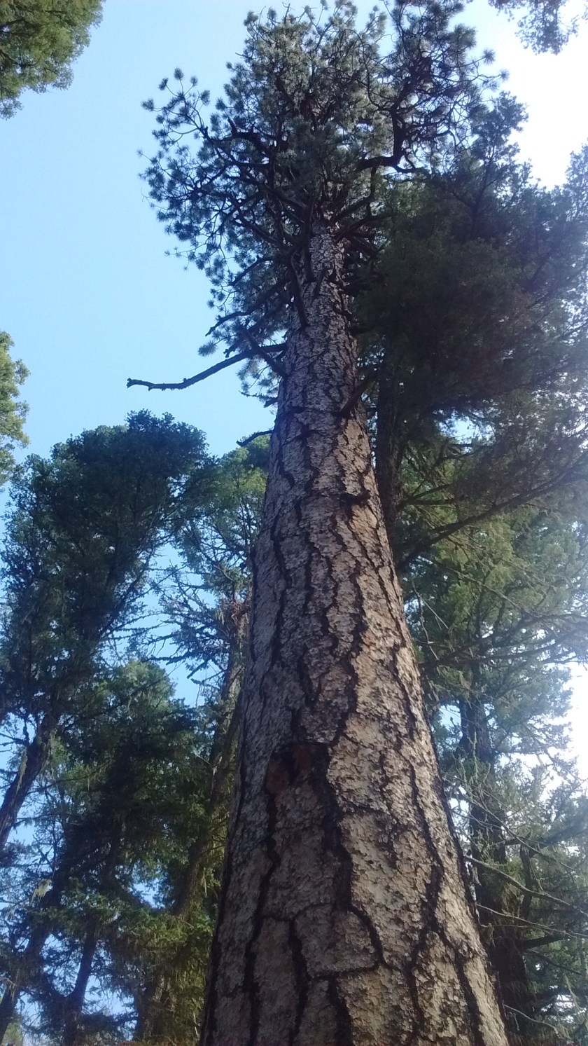 IMG_20150831_105259944