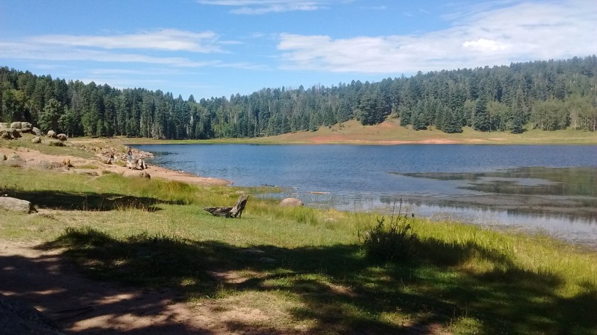 IMG_20150831_111319830