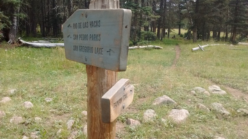 IMG_20150831_115118349