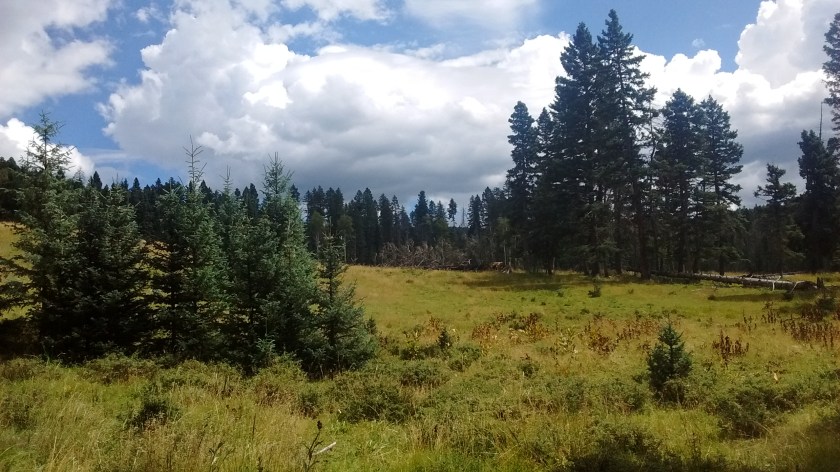 IMG_20150831_115505486