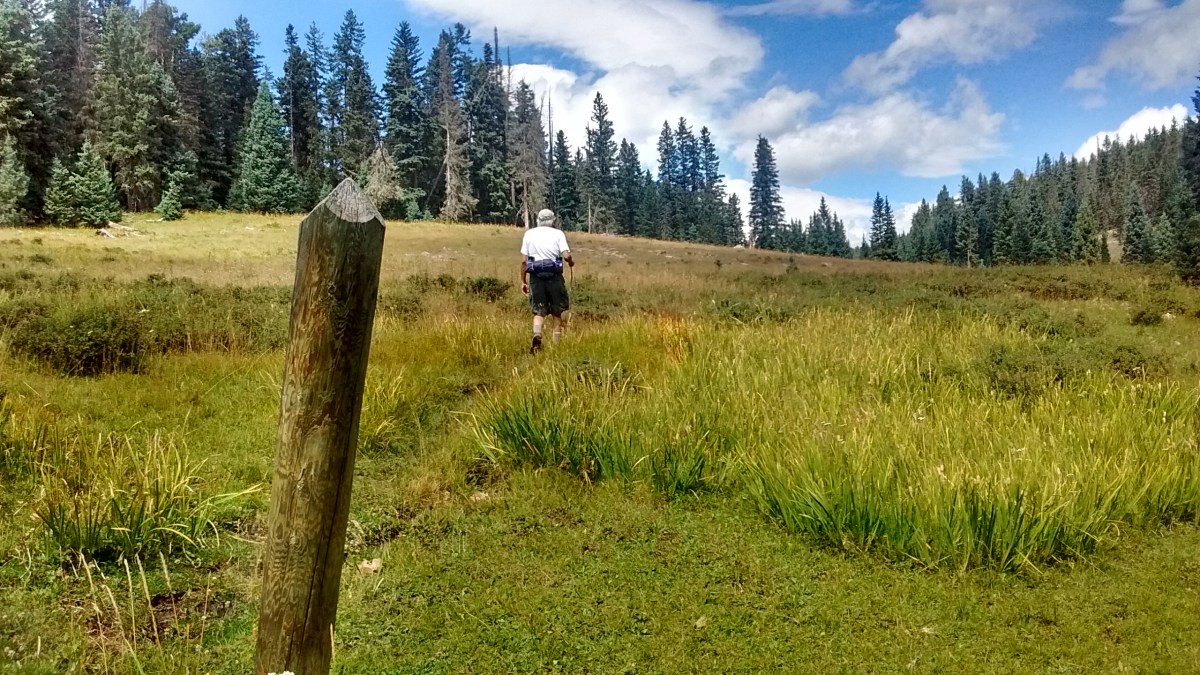 Our Walk in the&nbsp;Parks